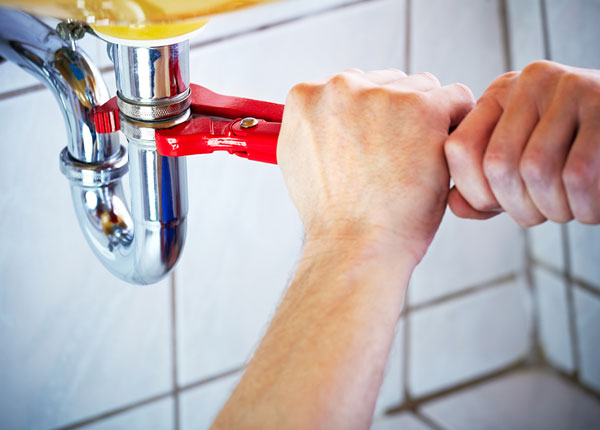 About Daisy Plumbers